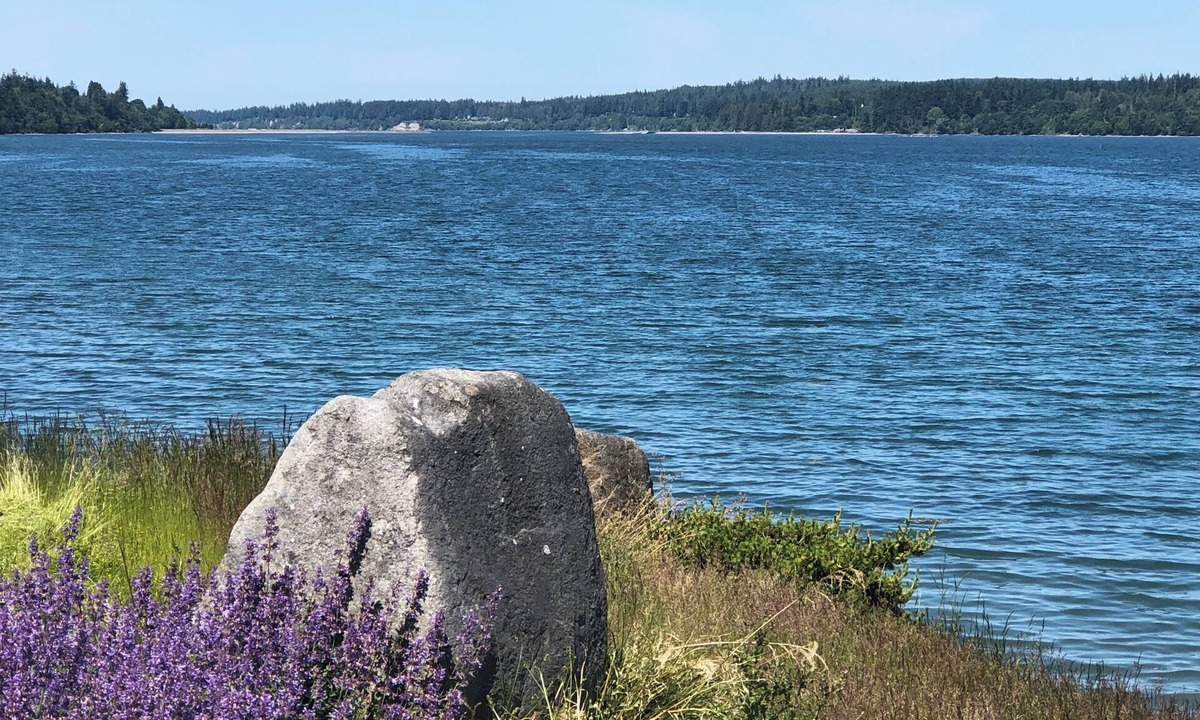 Kingston Cottage | Beach Access Air Conditioned Modern Cottage At Gateway To Olympic National Park