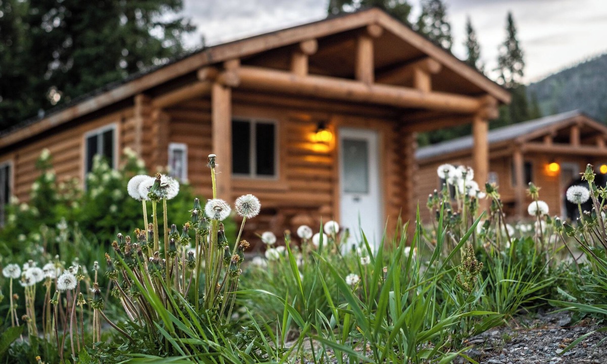 Moran Hotel | Naturalistic Escape! Convenient Wooden Cottage, Free Parking