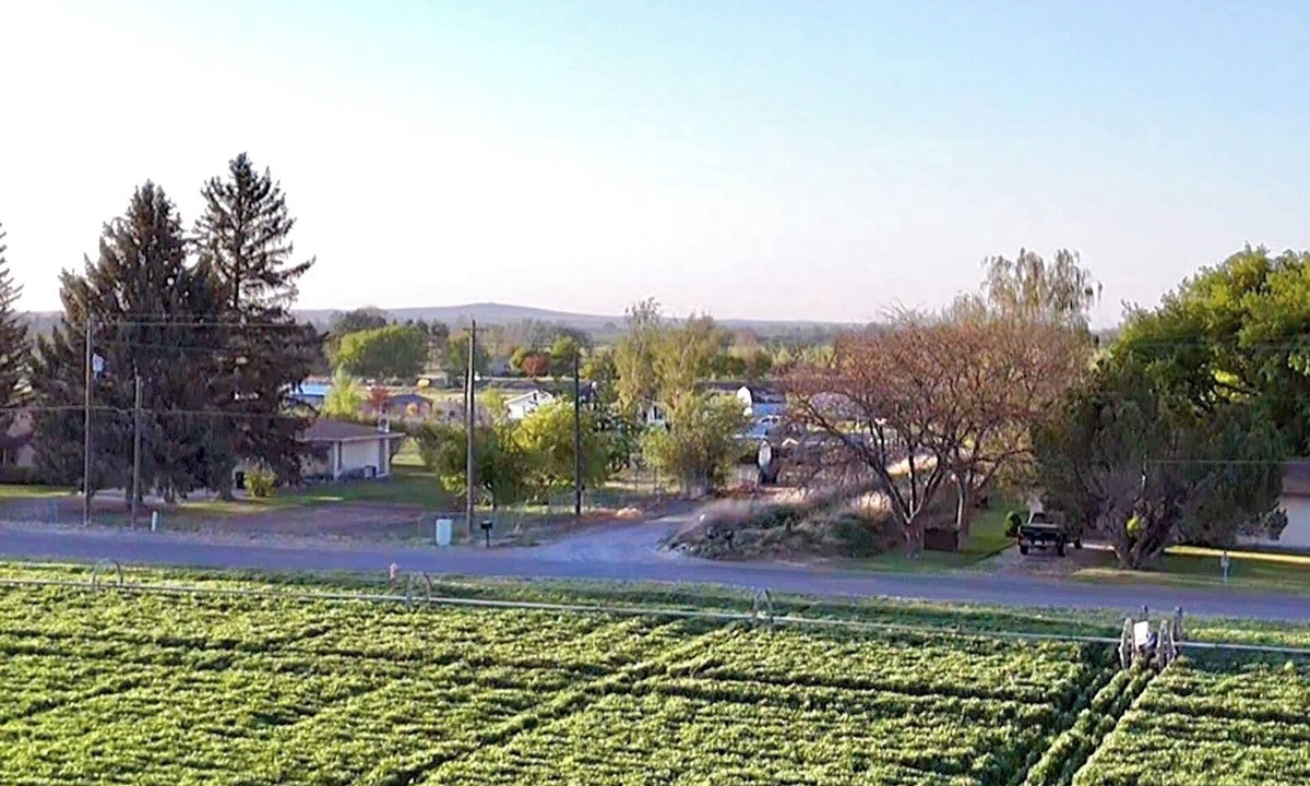 Heyburn House | Peaceful, fun 4-bedroom farmhouse in Heyburn perfect for relaxing stays
