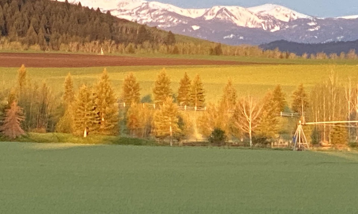 Bozeman Apartment | Peaceful Setting. Amazing Views! Close to DwnTwn & MSU