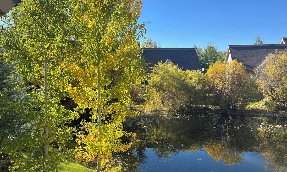 Driggs House | Relax near Grand Targhee- only 22 min away