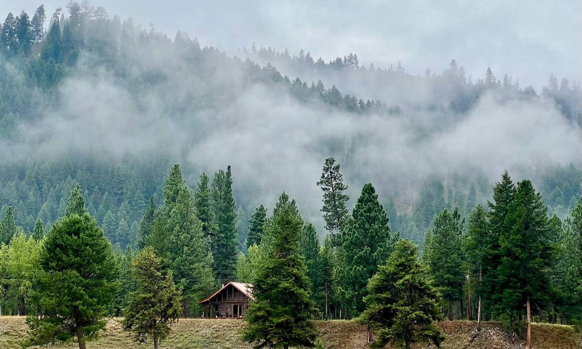 Darby Cabin | Spacious Log Cabin with Beautiful Views - The Cottonwood cabin at the Alta Ranch