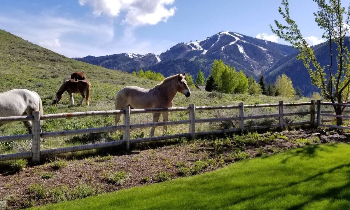 Elkhorn House | The Perfect Sun Valley Vacation Home