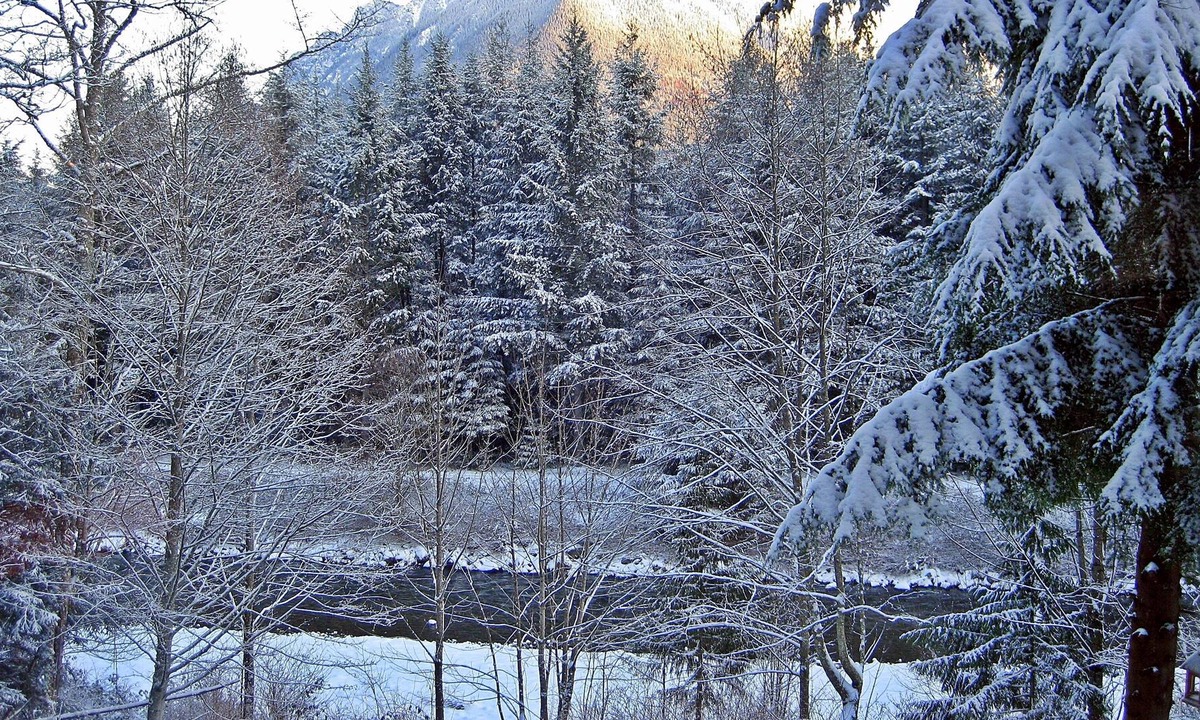 North Bend Cabin | Waterfront Winter Wonderland by Vacationloghome