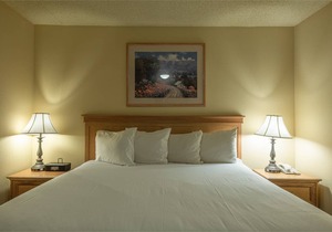 41 m² Condo ∙ 1 bedroom ∙ 4 guests in Mount Crested Butte