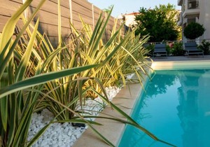OLIVE 103 in Perea