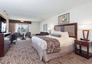 ONE MAJESTIC KING UNIT! POOL, HOT-TUB, SPA, PARKING!