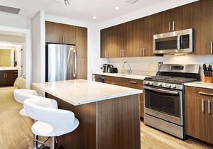 Spacious 2BR Apt | Work Desk + Internet | Pentagon City in Arlington