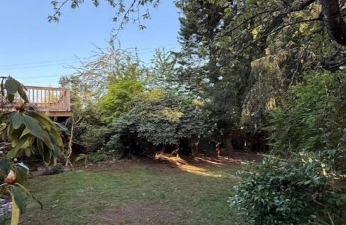 Shoreline House | Beautiful 3 Bedroom Shoreline Guesthouse