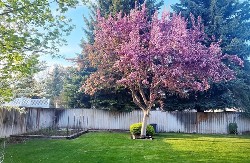 Idaho Falls House | Beautifully Updated Home on Oak Trail Drive in IF