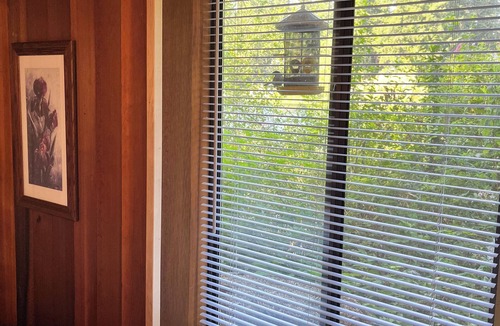 Auburn Cabin | Charming 2-bedroom cabin on the Lake with shower kayaking, fishing, breakfast