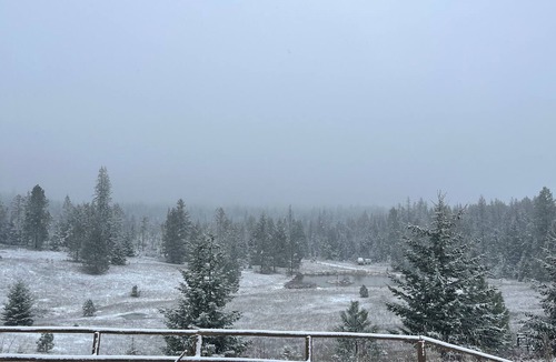 Ahsahka Cabin | Cozy 2-bedroom cabin in peaceful Lenore with AC