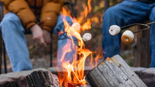 Coram House | Laid Back Cabin 7 Mn to Glacier, Private Fire Pit
