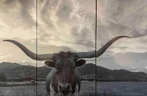 Ririe Apartment | Longhorn Cabin At Mountain River Ranch