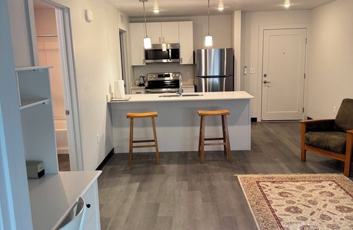 Liberty Wells Apartment | New Modern One-Bedroom Apartment @500 Parkview