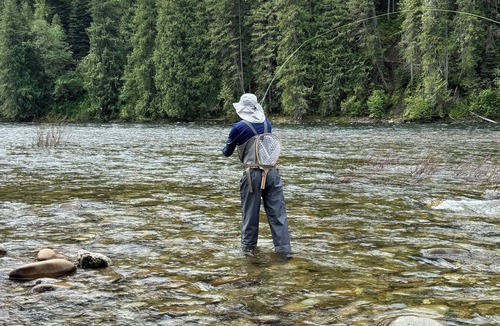 Lowell Cabin | Perfect 1-bedroom cabin with AC on Lochsa River