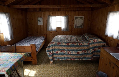 Bellvue Cabin | Pet Friendly Fishing Cabin close to Poudre River, Perfect for a Weekend Escape from Fort Collins