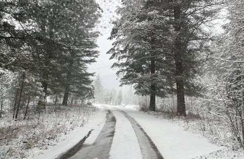 Grover Cabin | Quiet studio cabin in Grover perfect for a cozy getaway all year
