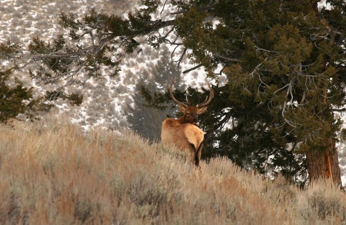 Idaho House | Rocky Mountain RV Camp