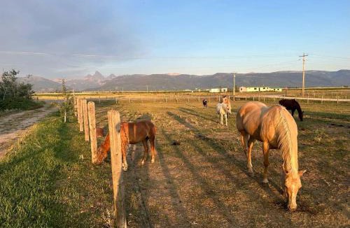 Tetonia House | Rustic Sheep Wagon Glamping Retreat with Cowboy Ranch Views near Grand Tetons in Tetonia, Idaho