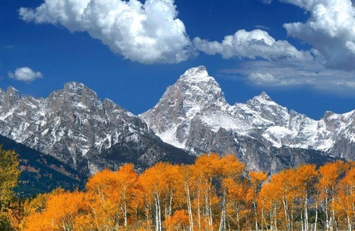 Tetonia House | Sheep Wagon One-Teton Views-Glamping-Working Ranch, Perfect for Couples.