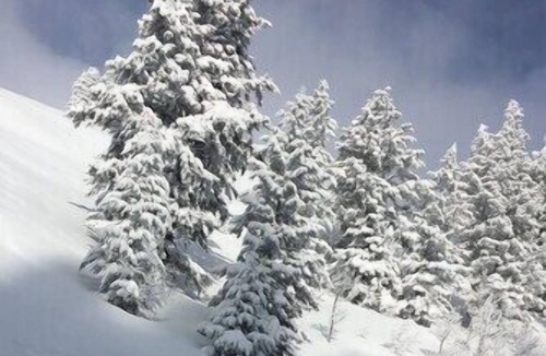 Powder Mountain Cabin | Stay & Ski at Powder Mountain | Studio 101
