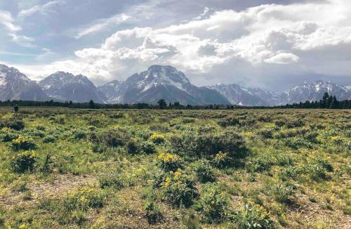 Palisades House | Unique Steampunk Tiny House Rental in Swan Valley, Idaho near Jackson Hole