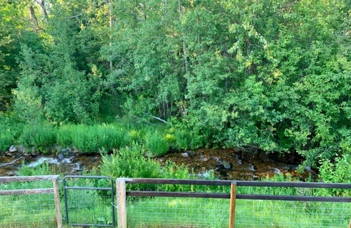 Evaro Apartment | Walk-In Creekside Apartment - Fireplace & Cozy Living Room