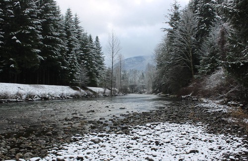 North Bend Cabin | Waterfront Winter Wonderland by Vacationloghome