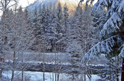 North Bend Cabin | Waterfront Winter Wonderland by Vacationloghome