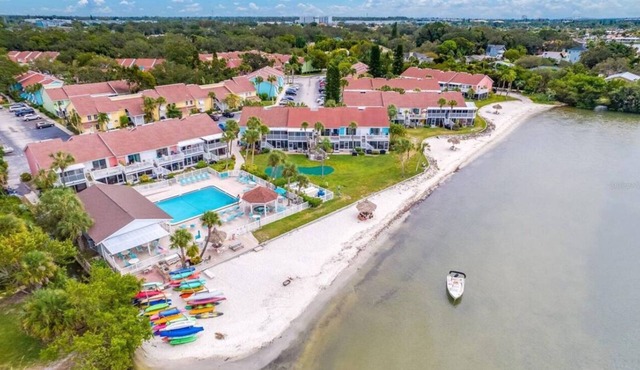 1BR Waterfront Condo + Private Beach + Heated Pools + Stylish Remodel in St Pete in St. Petersburg