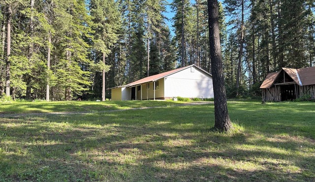 2-bedroom Cozy Cottage located in the Woods in North Idaho-A Perfect Getaway!
