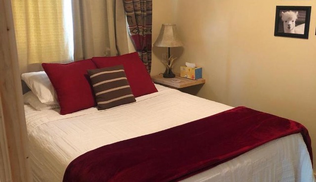 Alpaca Inn, The