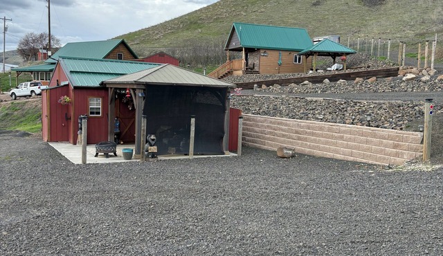 Bear Country Tiny House in Lenore on the river