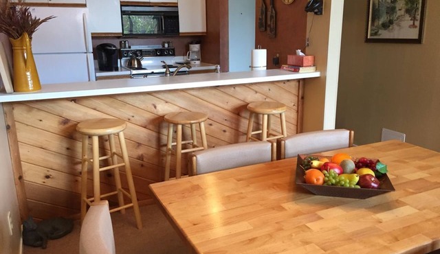 Beautiful Petoskey Condo in Trout Creek - Minutes from Nubs & Boyne Highlands! in Harbor Springs