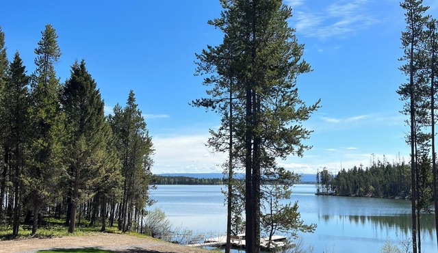 Behind The Pines cabin on the lake!