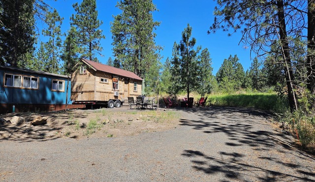 Black Bear Bungalow tiny home 5 min to airport