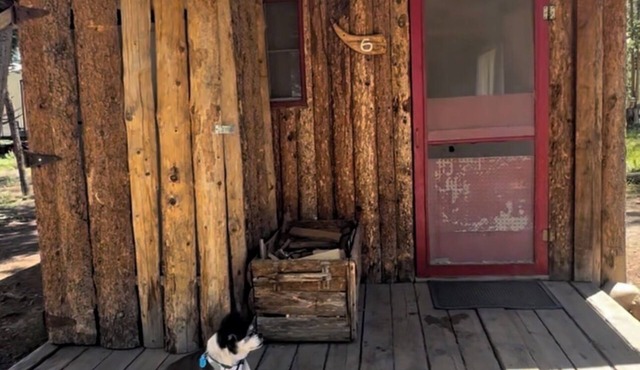 Cabin #6 Perfect 1-bedroom rustic cabin in Gould for a cozy getaway