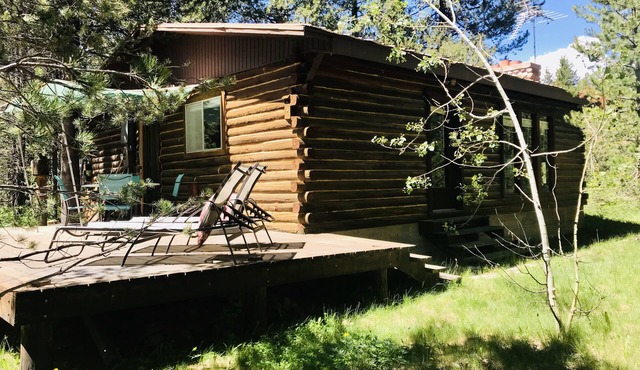 Cabin in the Woods.