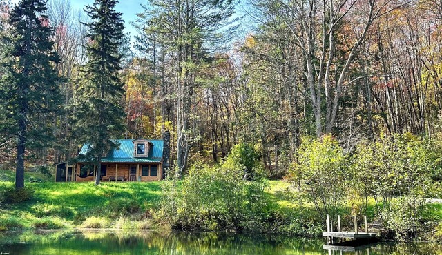 Charming and rustic 3-bedroom cabin just minutes from Cooperstown in Cooperstown