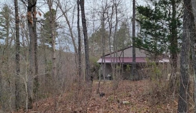 Collier Cabin in Pine Hollow ~ Eminence, MO in Birch Tree