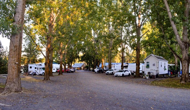 Columbia Point Resort in Kettle Falls