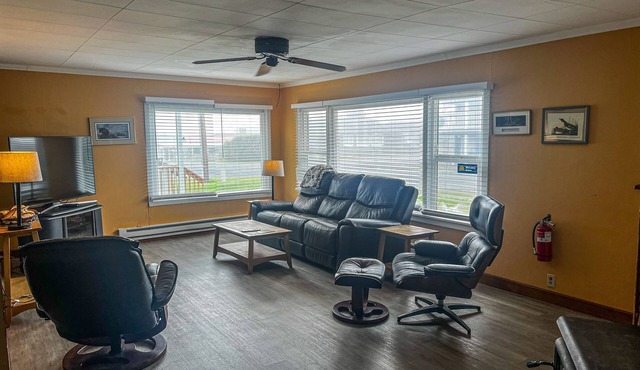 Comfortable and dog-friendly cottage, walk to Pacific Beach State Park in Pacific Beach