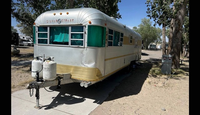 Couples Retreat it this Cute Airstream in Idaho