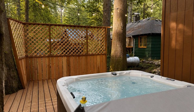 Cozy Forest Cabin, Hot Tub, King beds, AC, Fast Wi-fi, Waterfront, Pet Friendly in Rhododendron