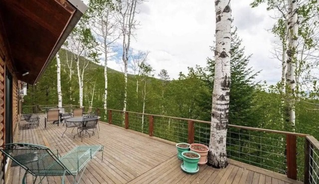 Cozy Lakeview Cabin outside Jackson Hole Pallisades Reservoir