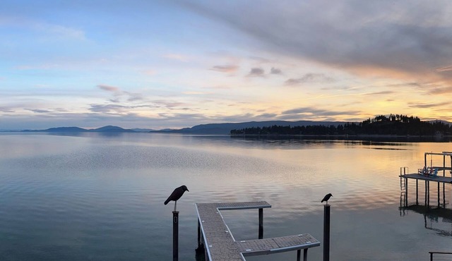 Cozy Mountain Retreat; Glacier National Park & Flathead Lake Escape! in Bigfork