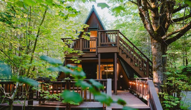 Designer A-Frame · Forest Hot Tub · Fire Pit in Skykomish