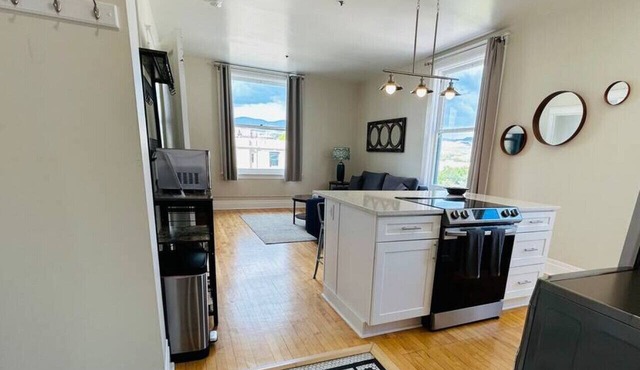 Downtown Digs penthouse with free parking!