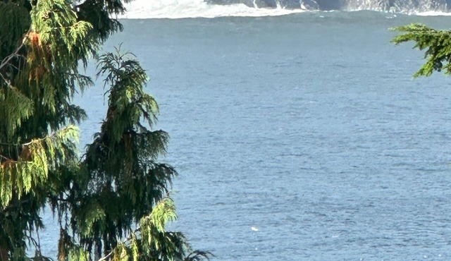 Eagle Way - Unit 243 in Port Renfrew